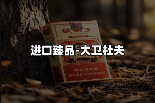 进口臻品